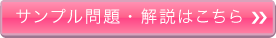 サンプル問題・解説はこちら